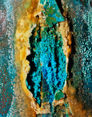 Illustration for article titled Surprisingly beautiful photographs of decaying cans of human remains